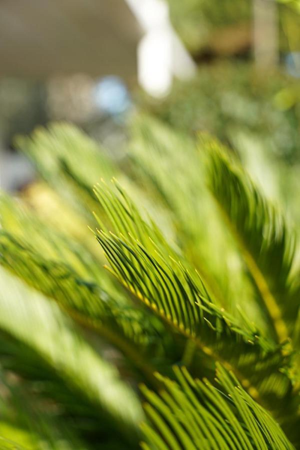 Guest house Villa Rovinj Apartments Rovinj