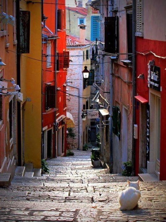 Guest house Villa Rovinj Apartments